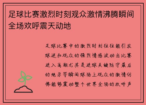 足球比赛激烈时刻观众激情沸腾瞬间全场欢呼震天动地