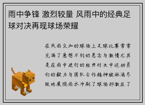 雨中争锋 激烈较量 风雨中的经典足球对决再现球场荣耀