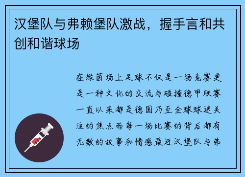 汉堡队与弗赖堡队激战，握手言和共创和谐球场