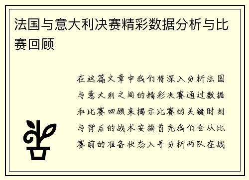 法国与意大利决赛精彩数据分析与比赛回顾