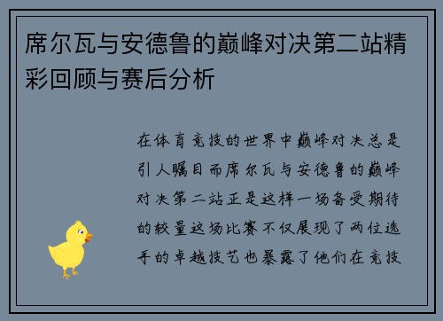 席尔瓦与安德鲁的巅峰对决第二站精彩回顾与赛后分析