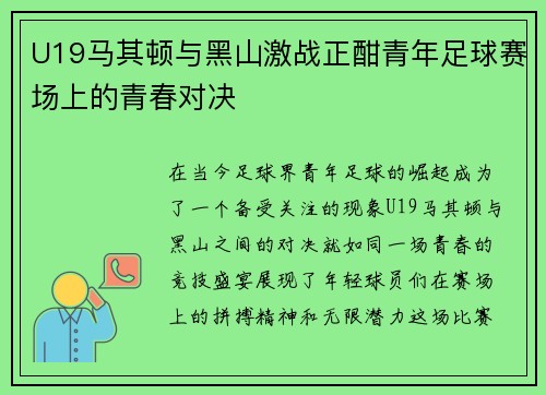 U19马其顿与黑山激战正酣青年足球赛场上的青春对决
