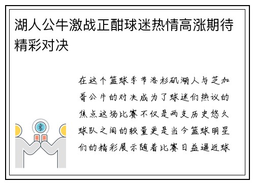 湖人公牛激战正酣球迷热情高涨期待精彩对决